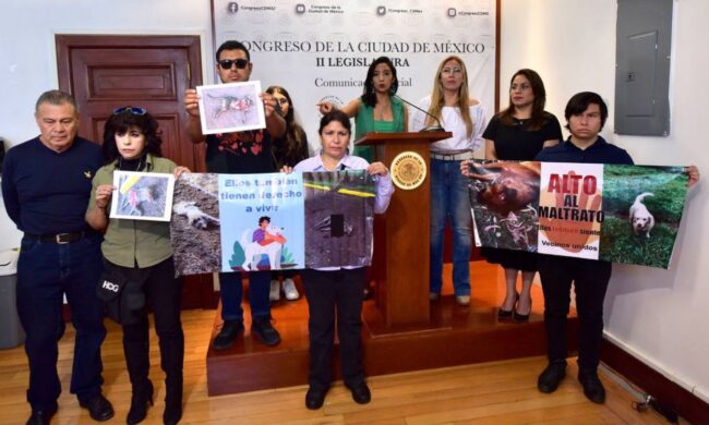 Torturan y matan a perros en bosque de Xochimilco: Oposición