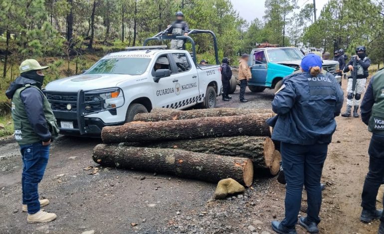 Relanzan combate legal a ‘talamontes’ en Tlalpan