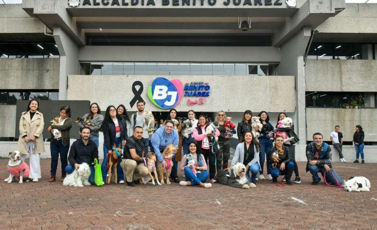 Realiza Alcaldía BJ jornada laboral ‘pet friendly’