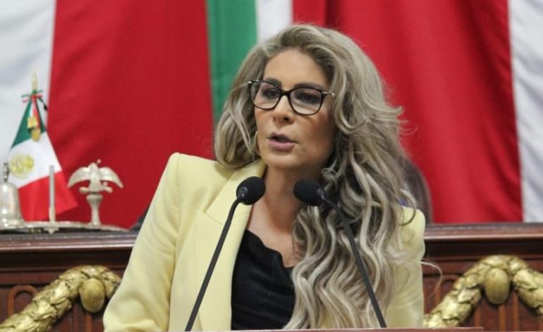 IECM se aleja de su papel de árbitro electoral: Nora Arias