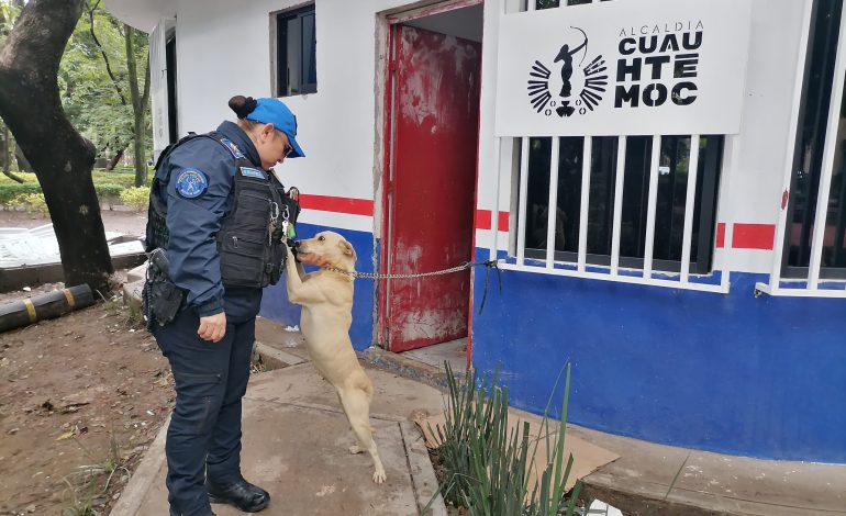 Llama Ale Rojo a tenencia responsable de mascotas, tras nuevo abandonos