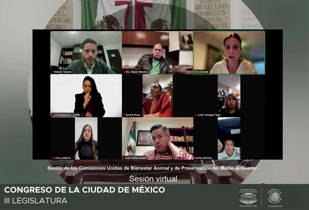 Abre Congreso registro para foros sobre refugio animal