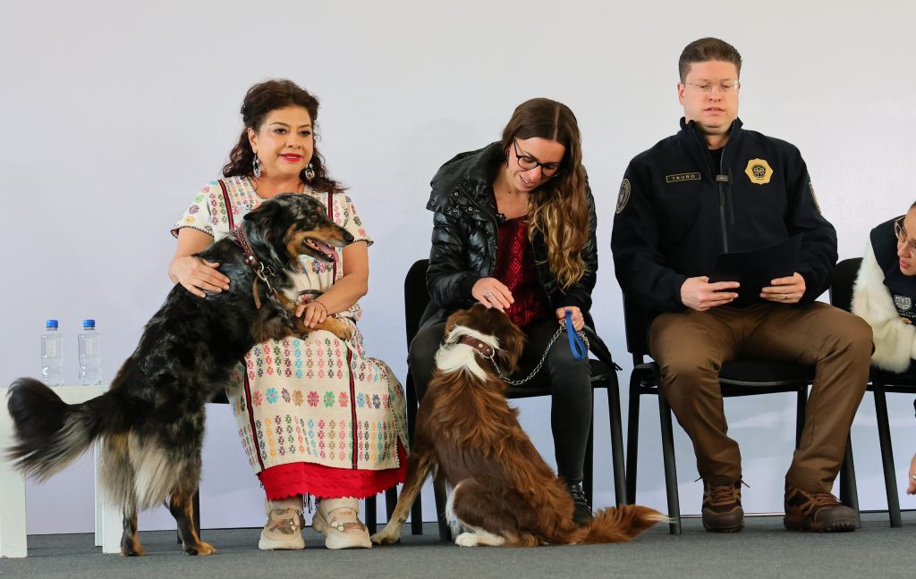 Bien que se busque evitar otros casos de maltrato animal, como el del Refugio Franciscano, pero sobre ello aquí una buena y una mala. FOTO: Especial