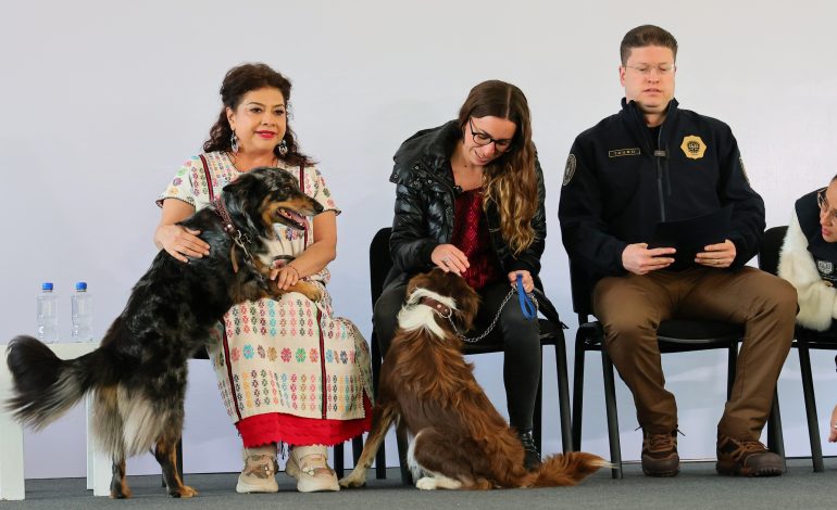 Refugios de animales, la buena y la mala