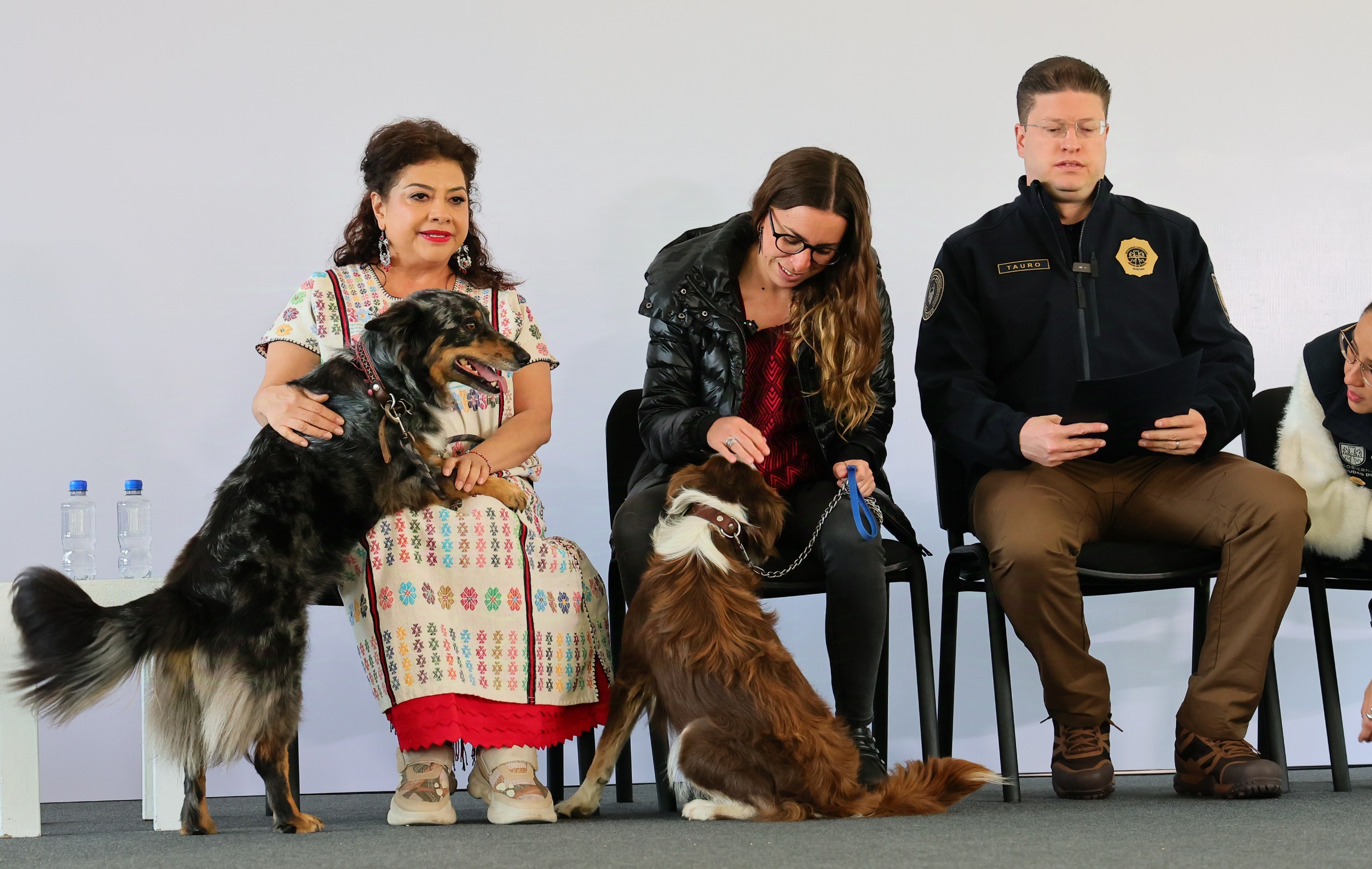 Refugios de animales, la buena y la mala