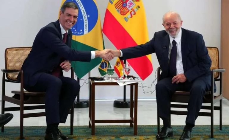 Borrador automático