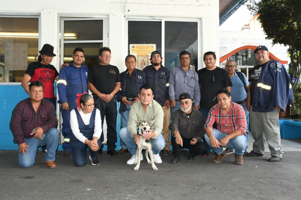 En Benito Juárez se impulsa una cultura que reconoce a los animales de compañía como seres sintientes, con derecho a una vida digna y segura.