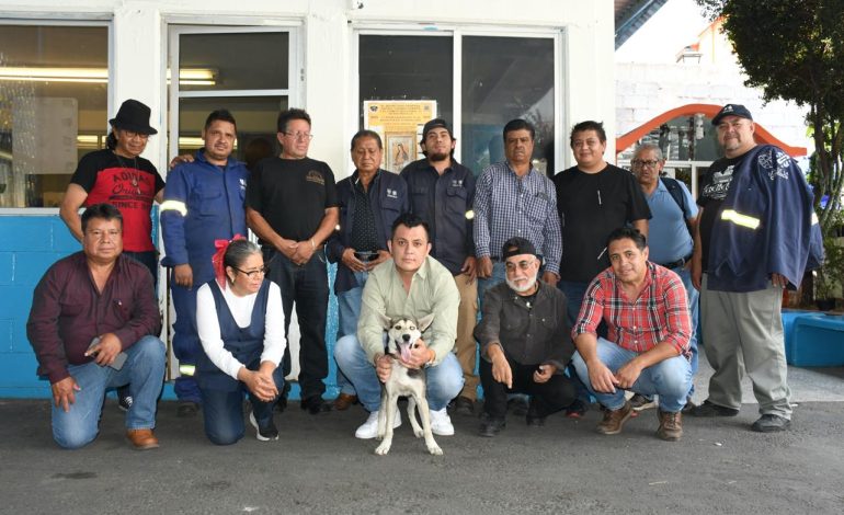 Perrita rescatada encuentra hogar en campamento de limpia de BJ