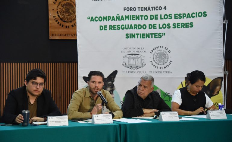 Proyectan diputados Ley de Albergues y Refugios de Animales en CDMX