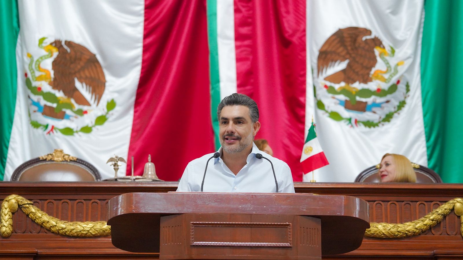 Protección animal no debe someterse a consulta: Sesma