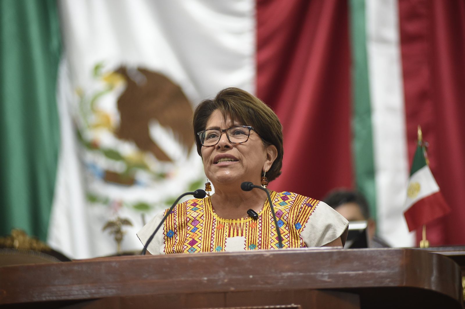 Cerramos la puerta a la intervención electoral extranjera: Martha Ávila