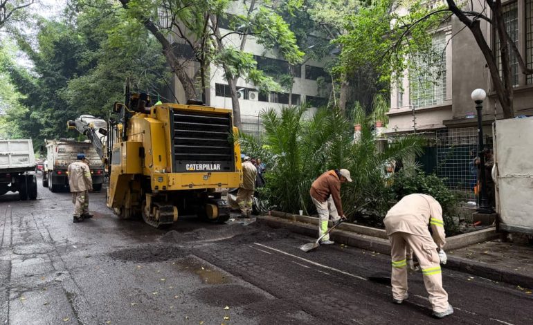 Renuevan 3 mil kilómetros cuadrados en la colonia Juárez