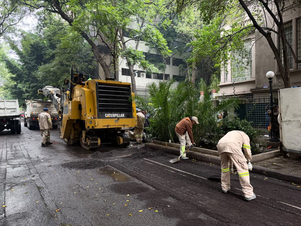 Renuevan 3 mil kilómetros cuadrados en la colonia Juárez